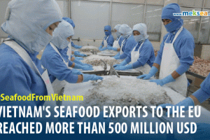 VIETNAM'S SEAFOOD EXPORTS TO THE EU REACH MORE THAN 500 MILLION USD