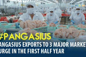 Vietnam’s pangasius exports to 3 major markets surge in the first half year
