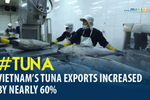 Vietnam’s tuna exports increased by nearly 60%