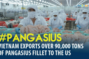 Vietnam Exports Over 90,000 Tons Of Pangasius Fillet To The Us