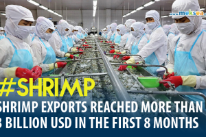 Vietnam shrimp exports reached more than 3 billion USD in the first 8 months of 2022