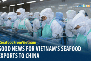 Good news for Vietnam’s seafood exports to China