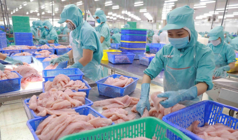 Vietnam's pangasius exports to ASEAN market shows positive indication ...