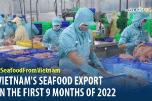 Vietnam's seafood export in the first 9 months of 2022