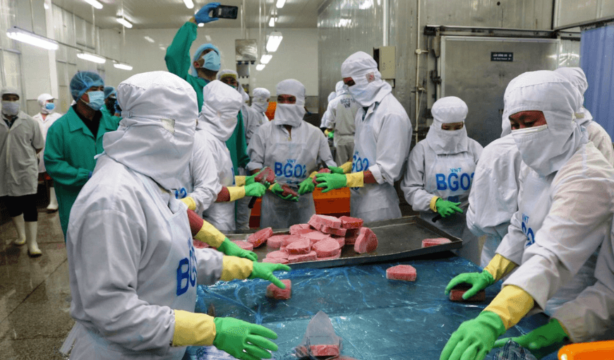 Vietnam’s tuna exports to the Middle East increased by 40% (1)