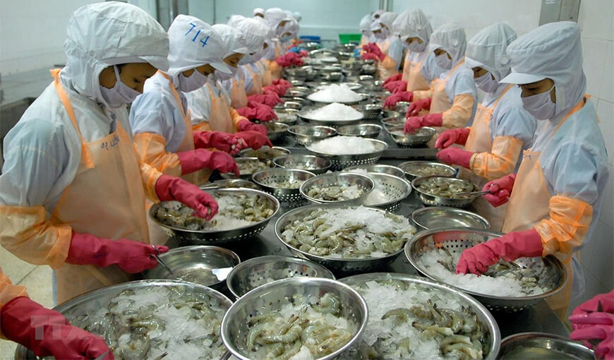 Vietnam becomes the third-largest seafood distributor in the world