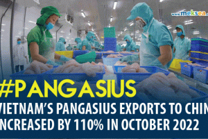 Vietnam’s pangasius exports to China increased by 110% in October 2022