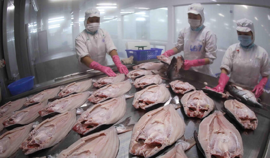 Vietnam’s tuna exports to Japan recorded positive signs in the third quarter of 2022-02-02