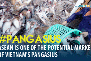 ASEAN is one of the potental market of Vietnam's pangasius