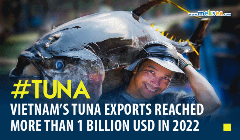 Vietnam s Tuna Exports Reached More Than 1 Billion USD In 2022 Meksea explained-what-caused-auckland-s-wettest-day-and-where-climate