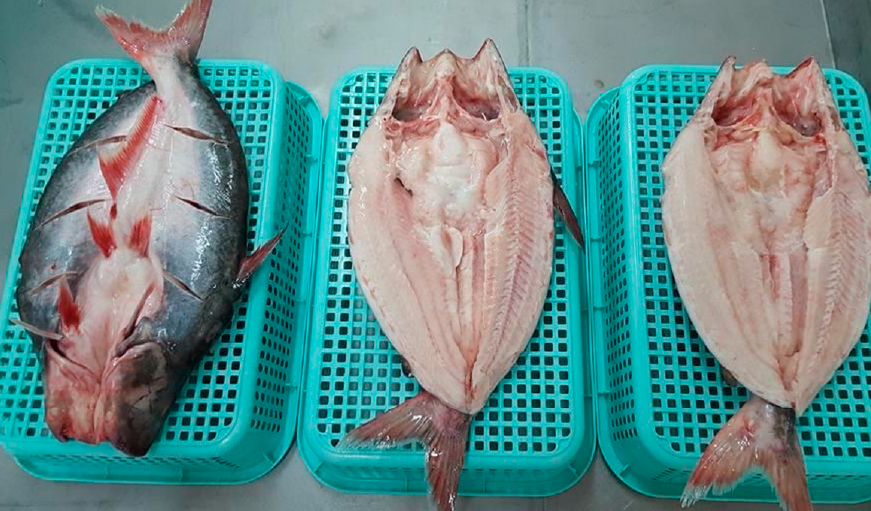 Vietnam's pangasius butterfly exports to China increased sharply