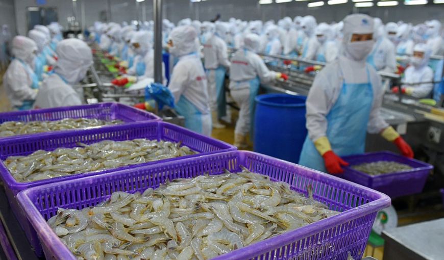 Import Situation of Shrimp from Major Markets in 2023 - Meksea