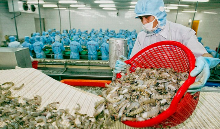 Summary of Vietnam shrimp exports in QI/2024 - Meksea - High Quality ...