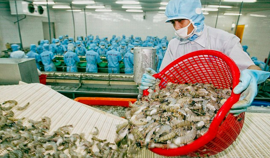 Summary of Vietnam shrimp export in q1 2024