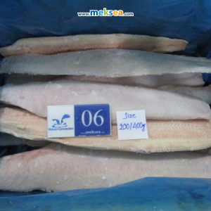 pangasius export