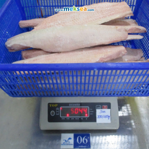 pangasius export