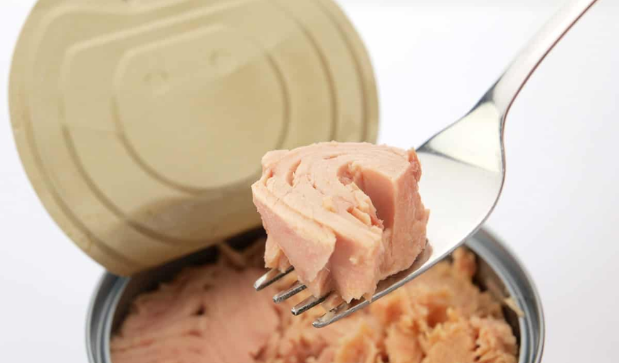 Canned Tuna Vietnam