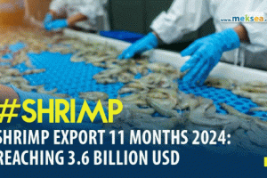 Shrimp-Export