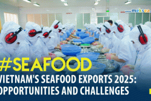 Seafood Export