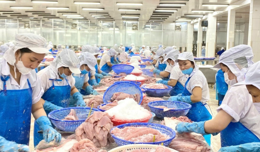 Pangasius Import Market