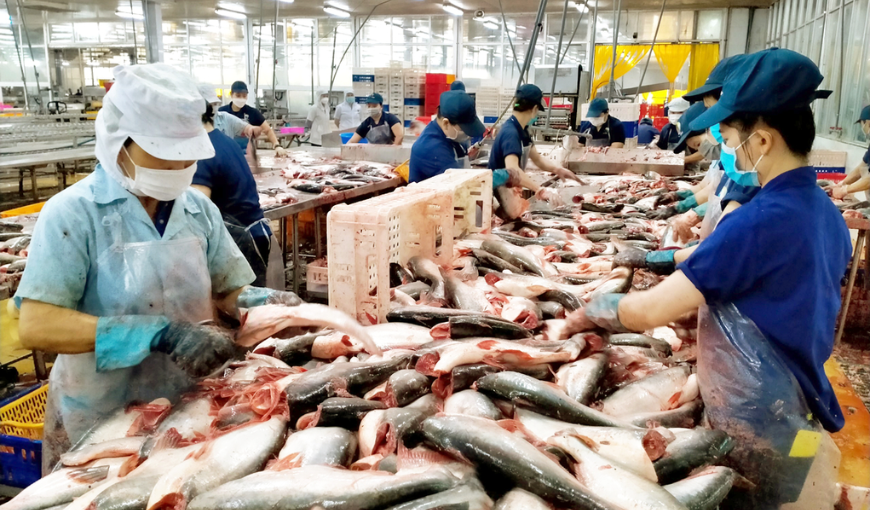 Vietnam’s Pangasius Export Outlook 2025