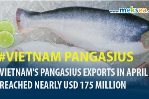 Vietnam's Pangasius Exports in April Reached Nearly USD 175 Million