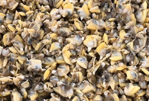 COOKED YELLOW CLAM MEAT