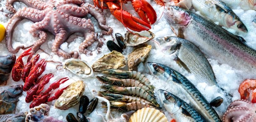 The Growing Demand for Frozen Seafood