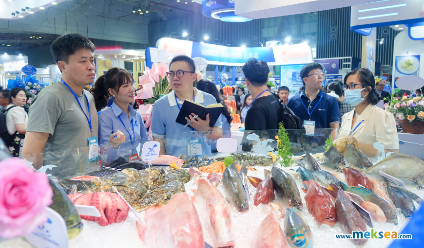 Meksea - The ideal distributor for frozen seafood