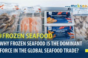 Why frozen seafood is becoming the dominant force in Global seafood trade