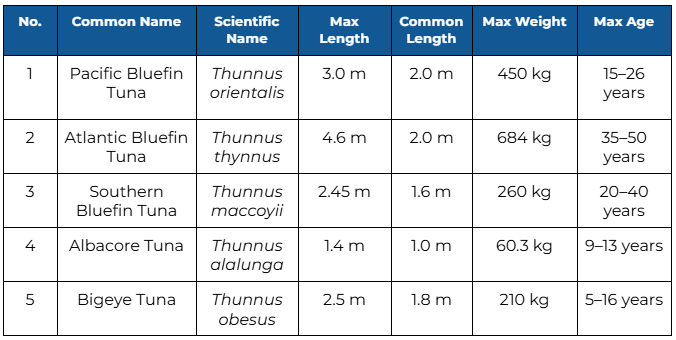 Thunnus (Thunnus) – the bluefin group