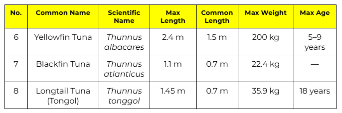 Thunnus (Neothunnus) – the yellowfin group