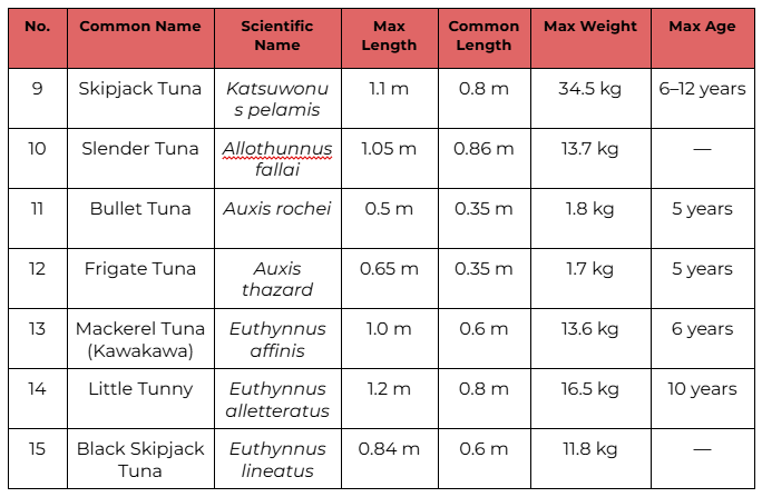 Thunnus (Thunnus) – Bluefin Group