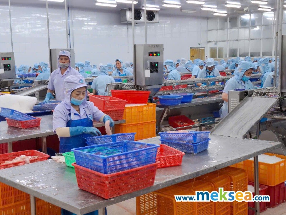 Meksea's processing factory