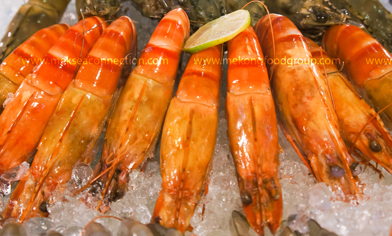 Cooked-Head-On-Shell-On-Black-Tiger-Shrimp