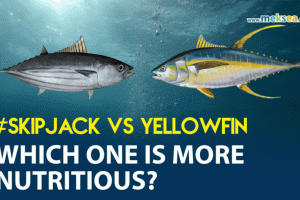 Skipjack and Yellowfin Tuna: Which one is more nutritious?
