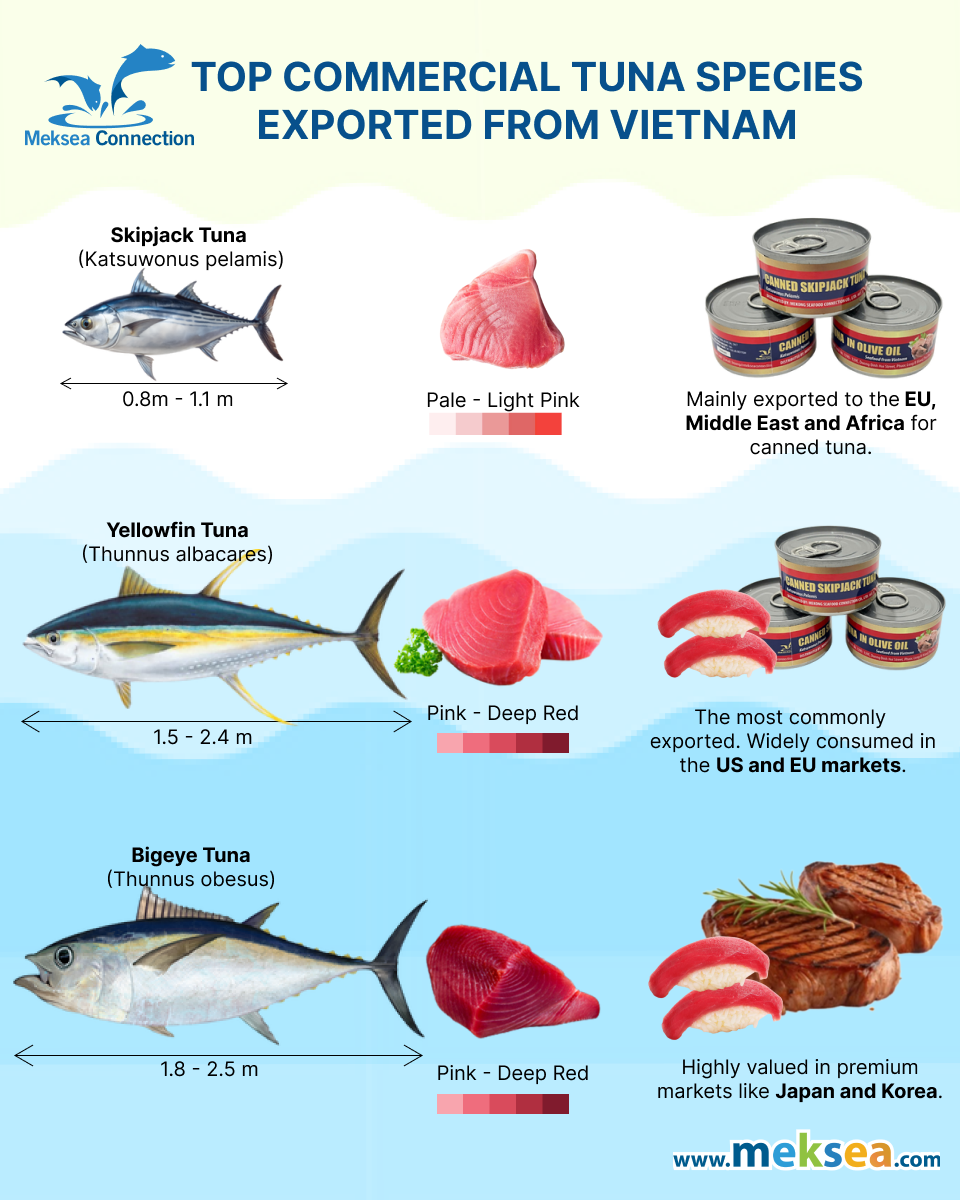 What is the most types of tuna in Vietnam