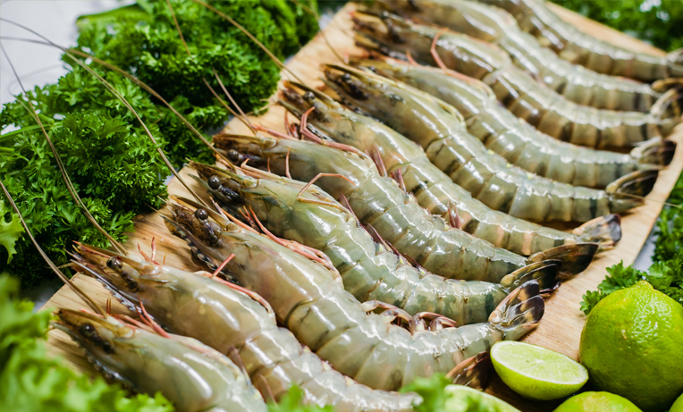 Vietnam shrimp export situation