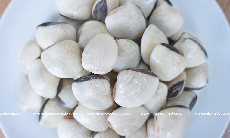 Vietnam's Clam Export