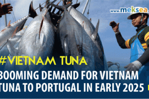 Booming demand for Vietnam Tuna to Portugal in early 2025