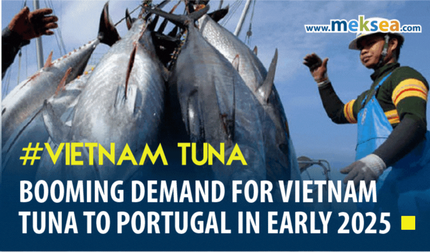 Booming demand for Vietnam Tuna to Portugal in early 2025