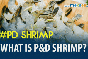 WHAT IS P&D SHRIMP?