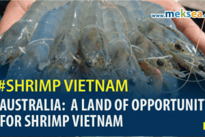 Australia: A Land of Opportunity for Shrimp Vietnam
