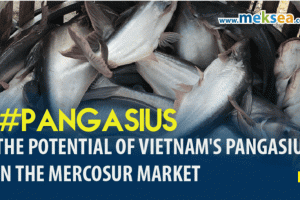 The Potential of Vietnam's pangasius in the Mercosur Market