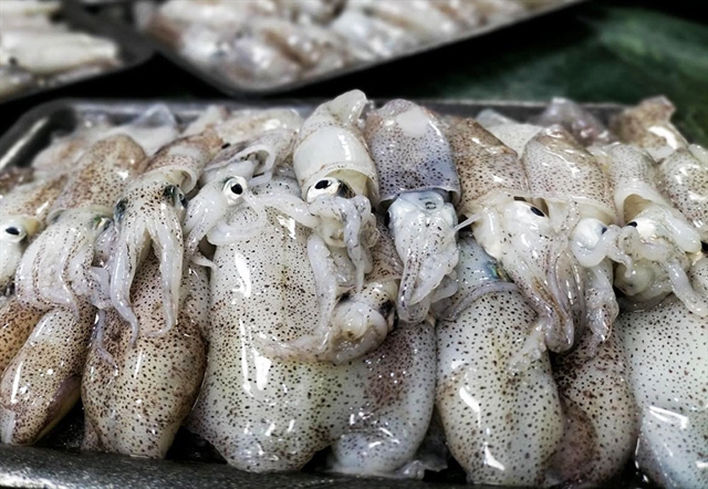 Japan is market have recorded impressive growth.for Vietnamese squid and octopus.