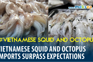 Vietnamese Squid and Octopus Imports Surpass Expectations