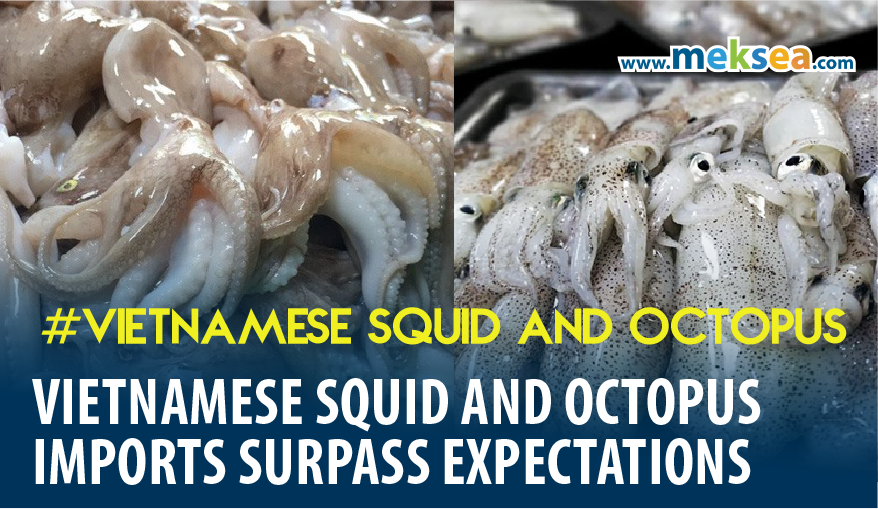 Vietnamese Squid and Octopus Imports Surpass Expectations