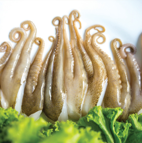 Cut Poulp Squid
