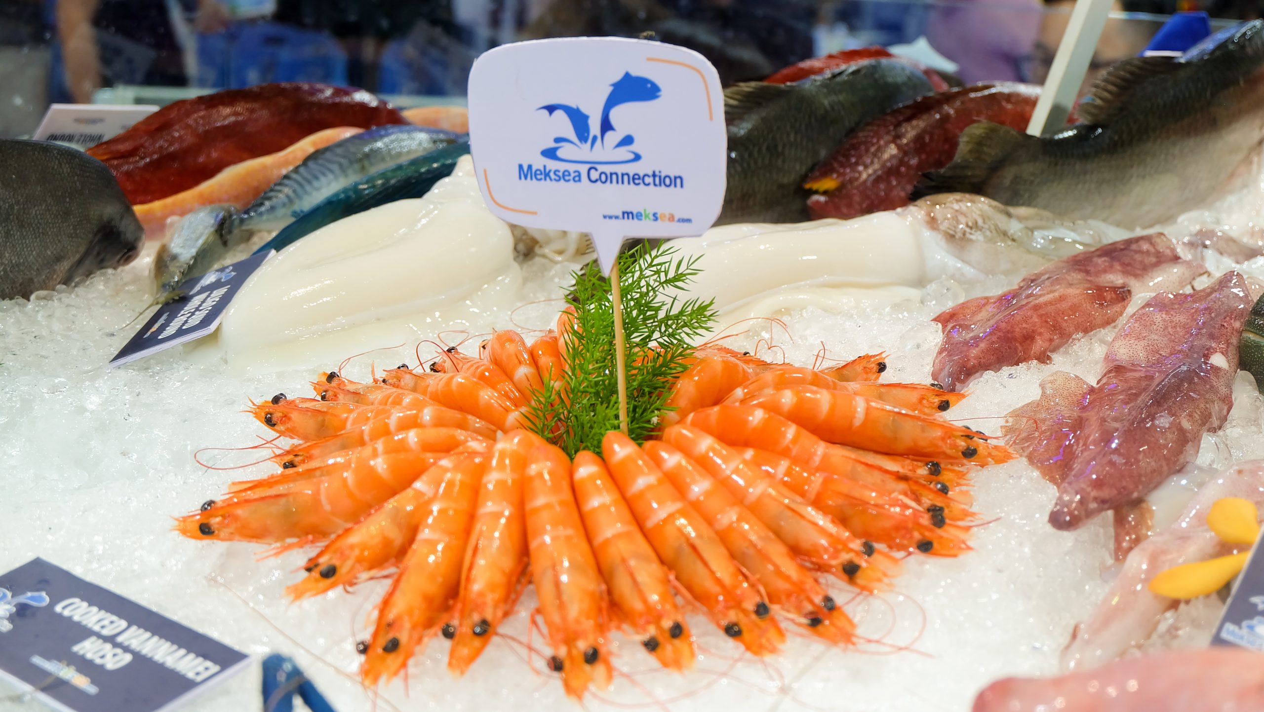 Vietnam’s Shrimp Industry Hits Record-High Export Value