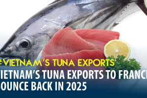 Vietnam’s Tuna Exports to France Bounce Back in 2025